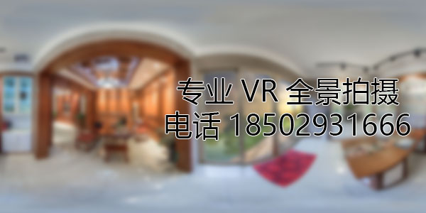 新田VR全景技术在未来可能的发展方向和应用领域?
